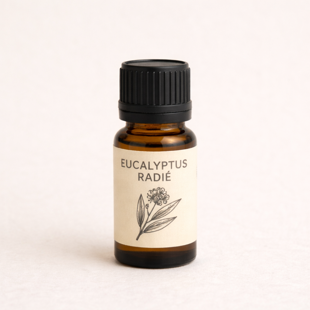 Essence d'eucalyptus
